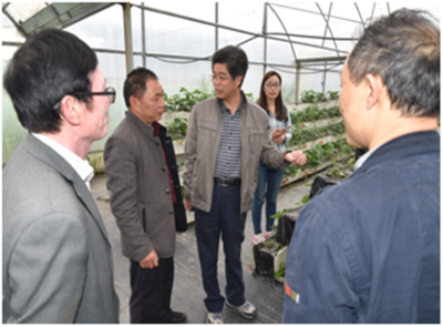 深耕產(chǎn)業(yè)一線，助力鄉(xiāng)村振興——園藝學(xué)院教工第二黨支部赴周寧、政和開(kāi)展黨員活動(dòng)日活動(dòng)